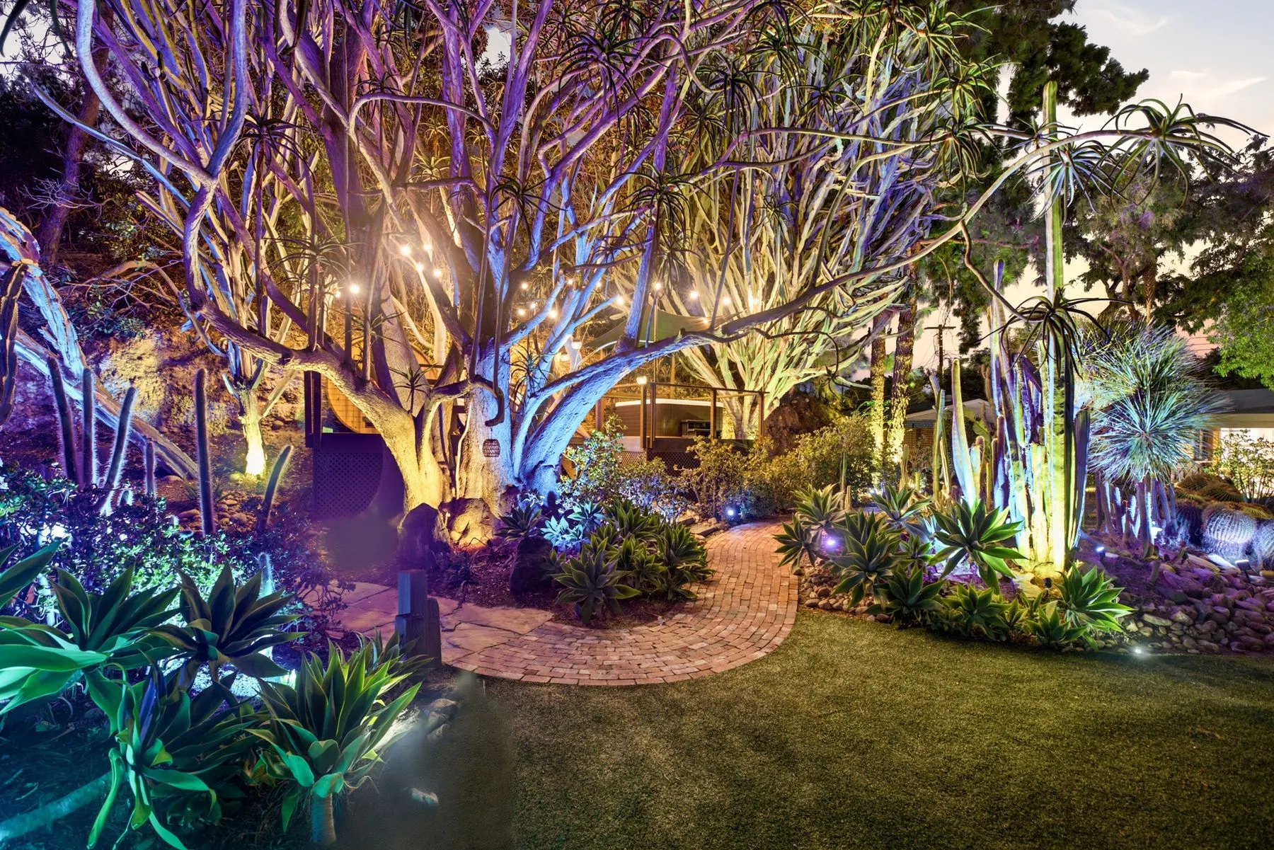 The garden at night, uplit in purple and blue