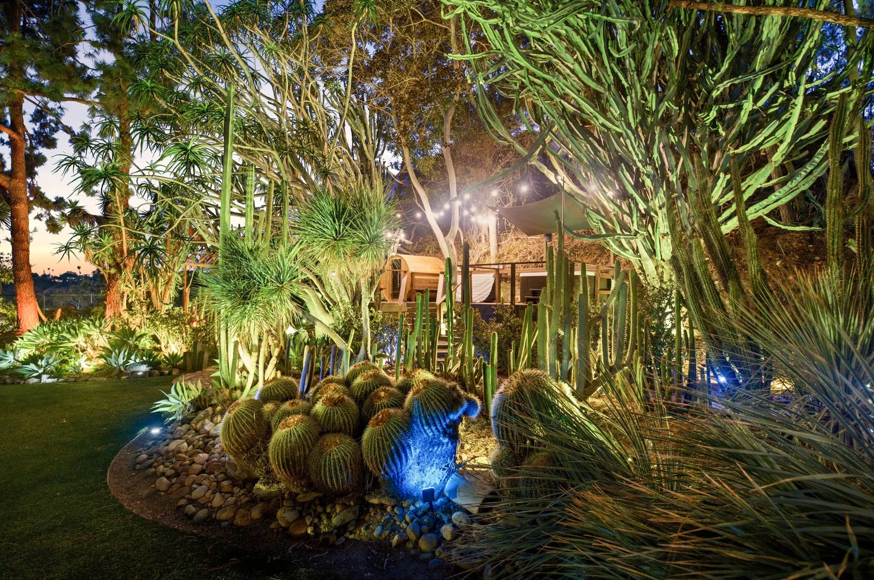 The cactus garden lit in color after dark