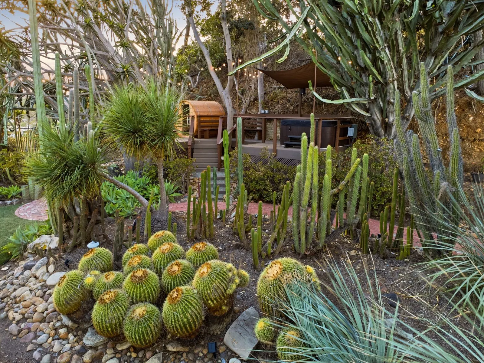 Golden barrel cactus beds leading up to the sauna deck