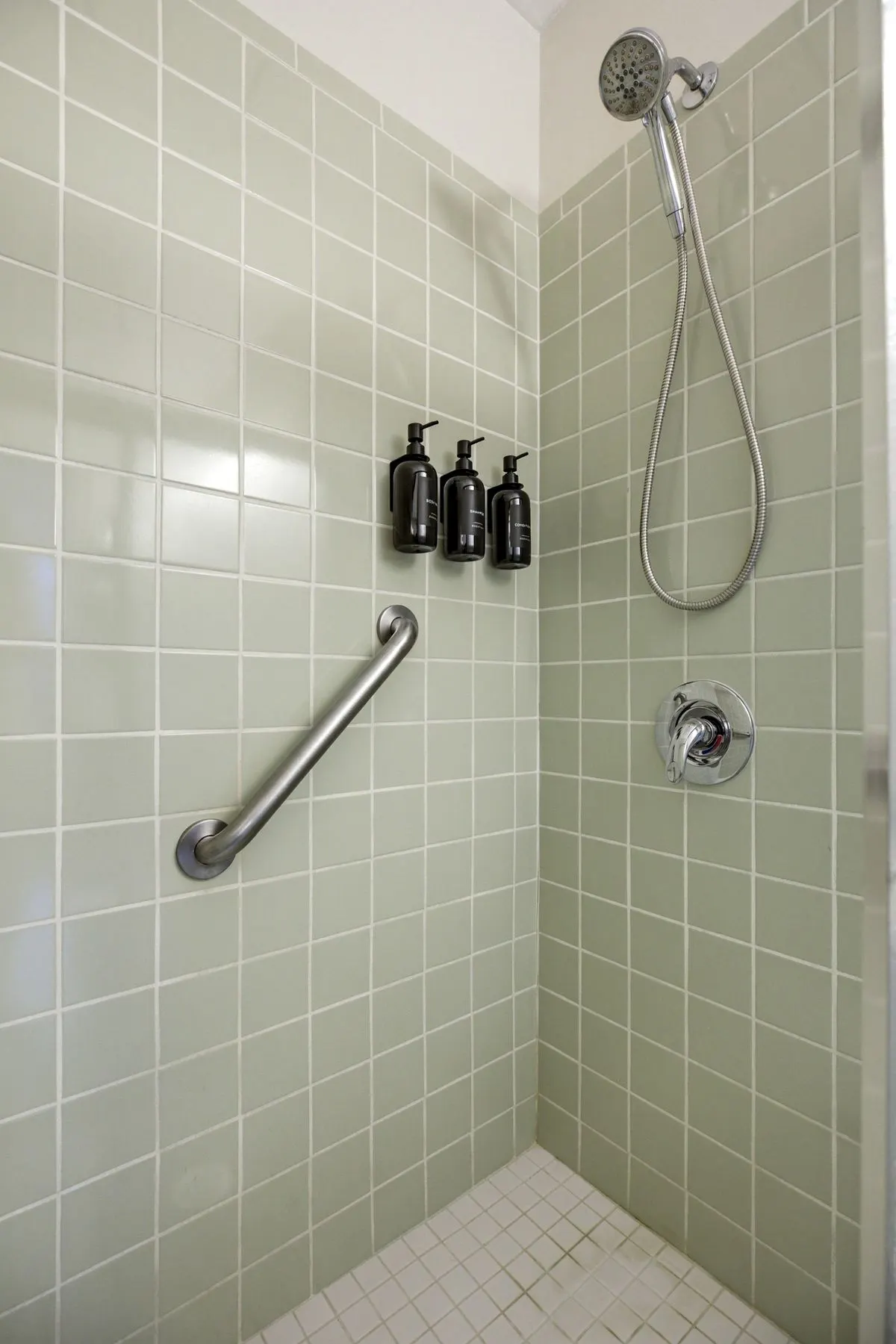 Handheld shower, grab bar, plus shampoo, conditioner and body wash